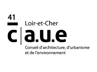 logo-caue41